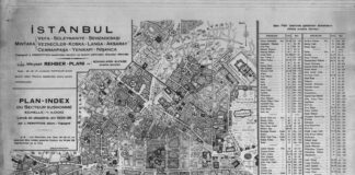 HARİTA ÜZERİNDEN SİGORTA RİSKİ HESAPLANIR MI? PERVİTİTCH’İN HARİTALARI