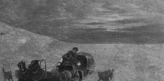 “16. YÜZYILDA VELUWE’DE YÜZLERCE KURT”